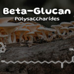 Boost Your Health with Beta-Glucan: The Super Fiber You Need