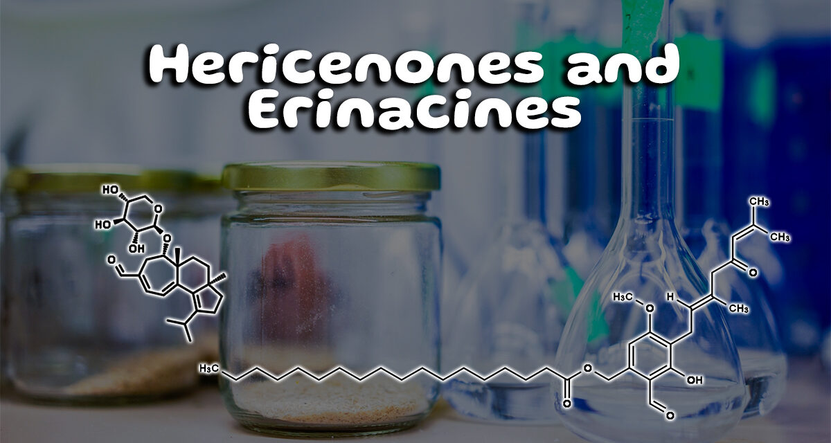 What are Hericenones and Erinacines? What You Need to Know