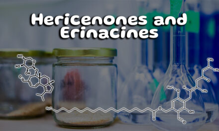 What are Hericenones and Erinacines? What You Need to Know