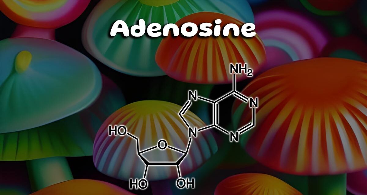 The Health Benefits of Adenosine-Rich Mushrooms