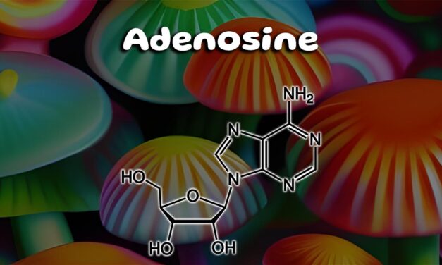 The Health Benefits of Adenosine-Rich Mushrooms