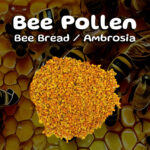 Bee Pollen: Nature’s Superfood for Prime Health