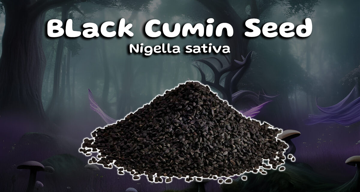 Black Cumin Seed: A Game-Changer for Health